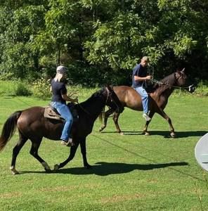 Meet your Posher, Travis n shannon